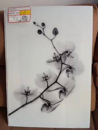 Lámina ketabo de acrílico Orquídea Ikea