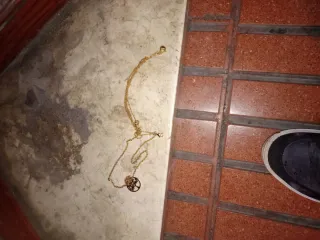 Cadena de oro con colgante árbol de la vida