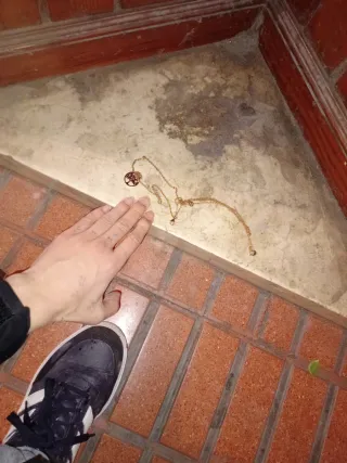 Cadena de oro con colgante árbol de la vida