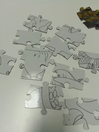 Puzzle Doble Brillo Oscuridad Vida Marina