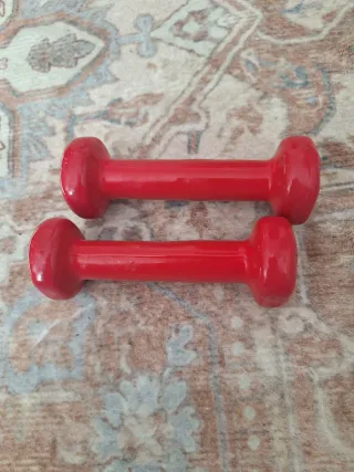 Mancuernas Salter 0.5 kg (Par)