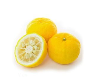 Yuzu (Citrus junos)