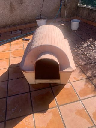 Caseta perro grande