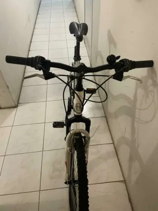 Bicicleta de Aluminio TOPBIKE