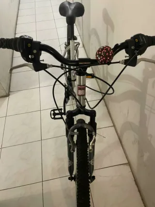 Bicicleta de montaña plateada