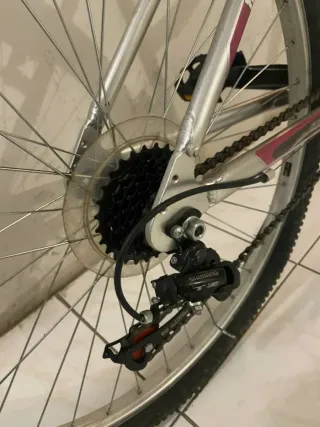 Bicicleta de montaña plateada