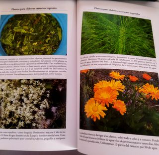 HUERTO ECOLÓGICO- GUÍA BASICA. JABIER HERREROS