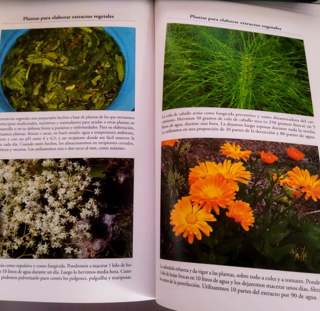 HUERTO ECOLÓGICO- GUÍA BASICA. JABIER HERREROS