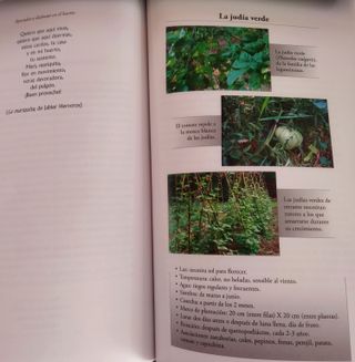 HUERTO ECOLÓGICO- GUÍA BASICA. JABIER HERREROS