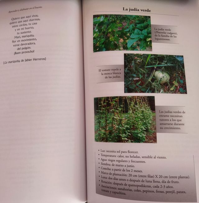 HUERTO ECOLÓGICO- GUÍA BASICA. JABIER HERREROS