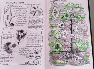 HUERTO ECOLÓGICO- GUÍA BASICA. JABIER HERREROS