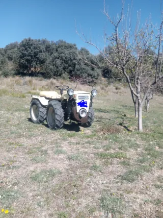 Tractor Pascuali 21cv con documentación