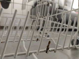 Piezas y recambios lavavajillas Balay