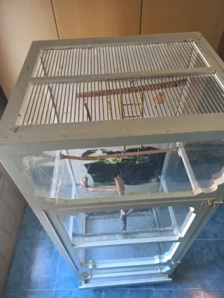 Jaula grande para pájaros