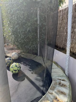 Cama elástica Domyos Essential 240