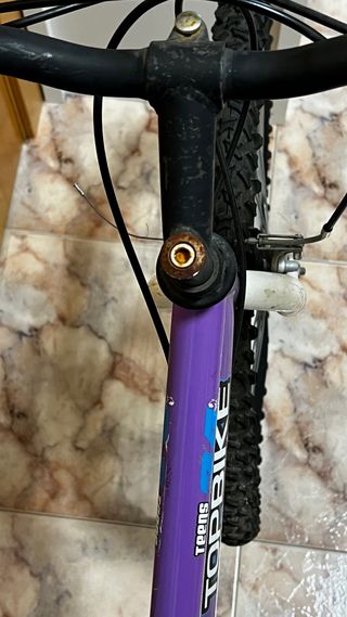 Bicicleta Montaña Niña 24 con Marchas