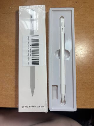 Stylus con ricarica USB-C per iPad