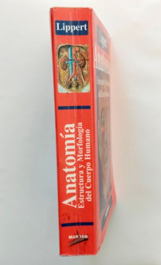 Anatomía. Estructura y Morfología del Cuerpo Human