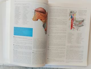 Anatomía. Estructura y Morfología del Cuerpo Human