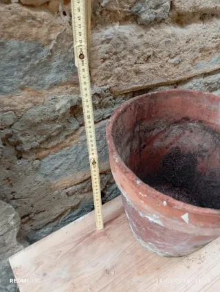 Vaso terracotta marrone e verde