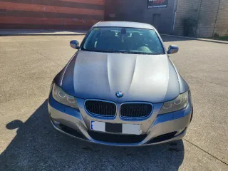 BMW Serie 3 2010