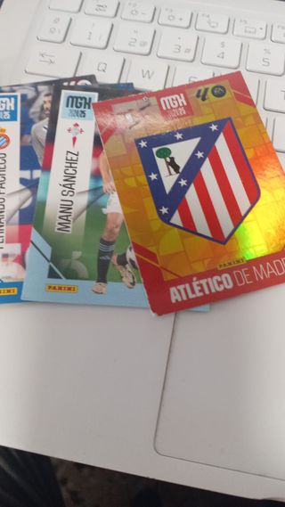 Cromos Megacracks 2024-25(PRECIO ULTIMA PAGINA)