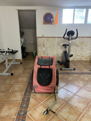 Carro remolque para perro o bici