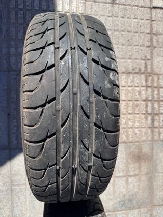 Par de Ruedas 195/55 R15 85V