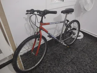 Bicicleta Montaña Vivant