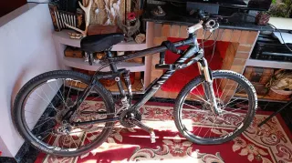 Mountainbike Canyon Nerve XC