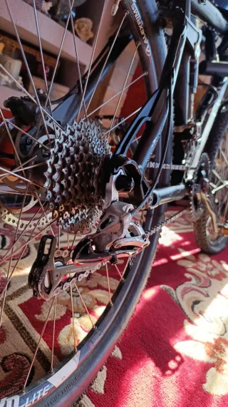 Mountainbike Canyon Nerve XC