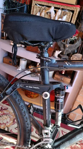 Mountainbike Canyon Nerve XC