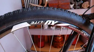 Mountainbike Canyon Nerve XC