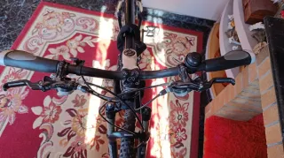 Mountainbike Canyon Nerve XC