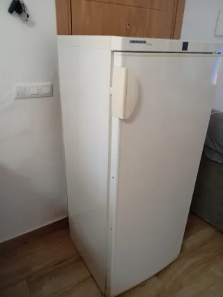 Frigorífico Nevera Liebherr
