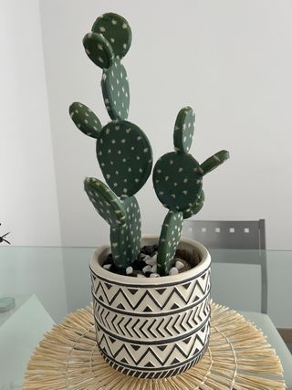 Cactus Decorativo con Maceta Cerámica