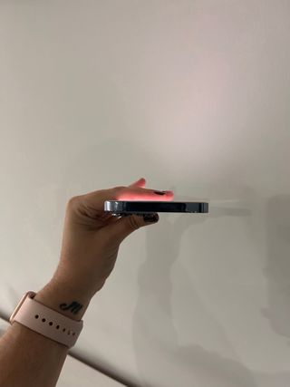 iPhone 13 Pro Max Gris