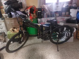 Bicicleta elettrica e.broh Thor