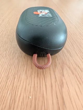 Skullcandy Push Active