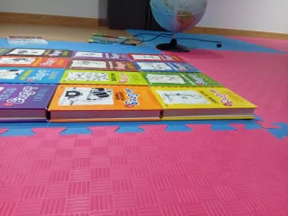 Conjunto de libros diario de Greg.