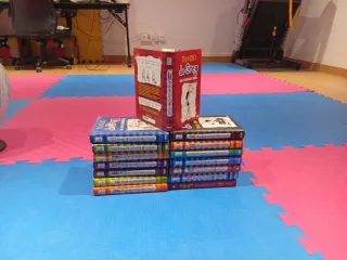 Conjunto de libros diario de Greg.