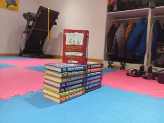 Conjunto de libros diario de Greg.