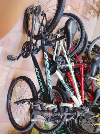 Bicicleta Montaña