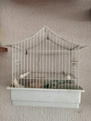 Jaulas para pájaros metalicas
