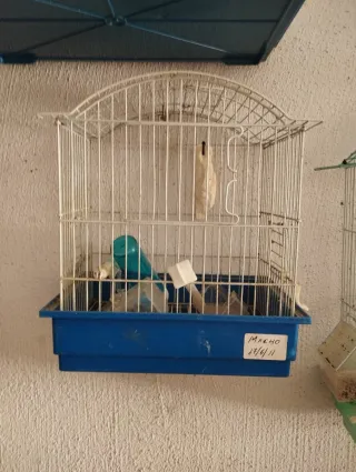 Jaulas para pájaros metalicas