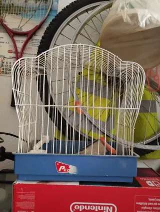 Jaulas para pájaros metalicas