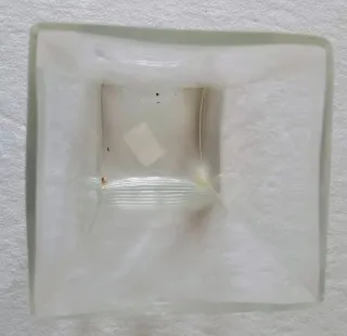 Vaso Decorativo in Vetro Trasparente