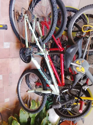 Bicicleta Montaña