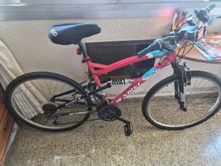 Bicicleta de Montaña DENBIKE 26