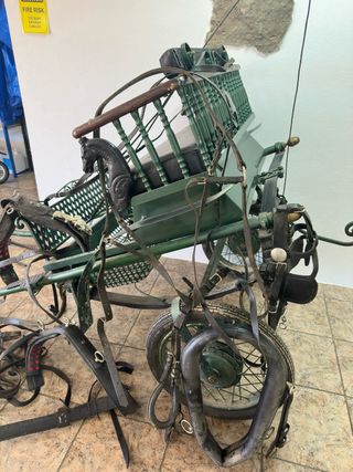 Coche de caballo verde con arneses